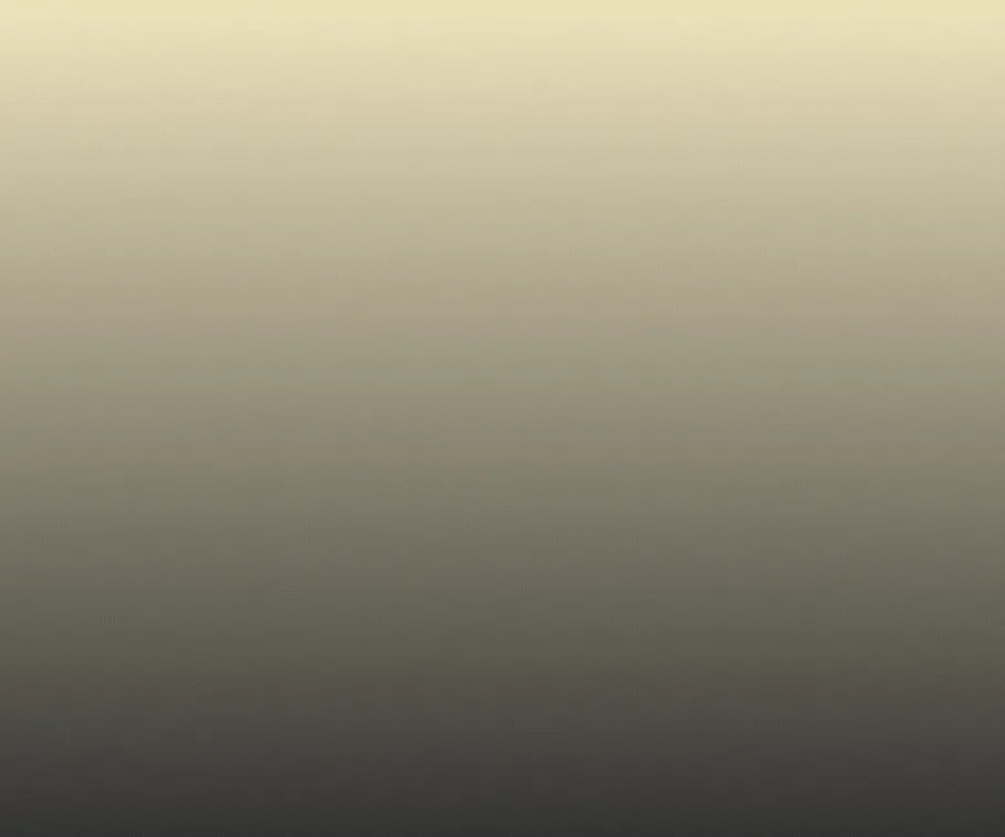 spot_img