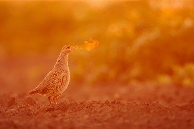 Vote now to pick winner of this year’s EEA Environment&Me photo competition Public Choice Award | Press releases Vote now to pick winner of this year’s EEA Environment&Me photo competition Public Choice Award | Press releases