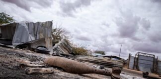 ICRC-IFRC joint statement to the second conference on the Political Declaration on Explosive Weapons in Populated Areas