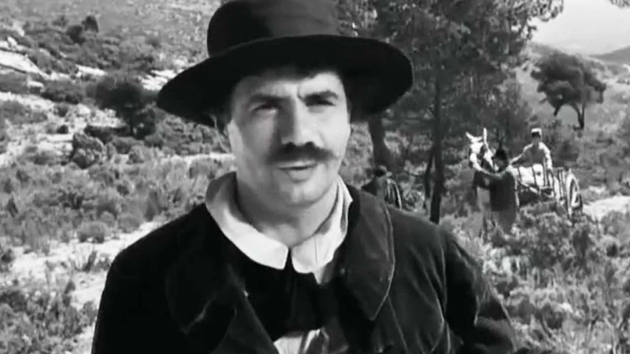 50b1223827ed1a9ac3bf77a22e9f14b8