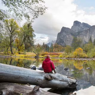 Le parc Yosemite, un des plus connus et visités des États-Unis. © Galyna Andrushko, Adobe Stock