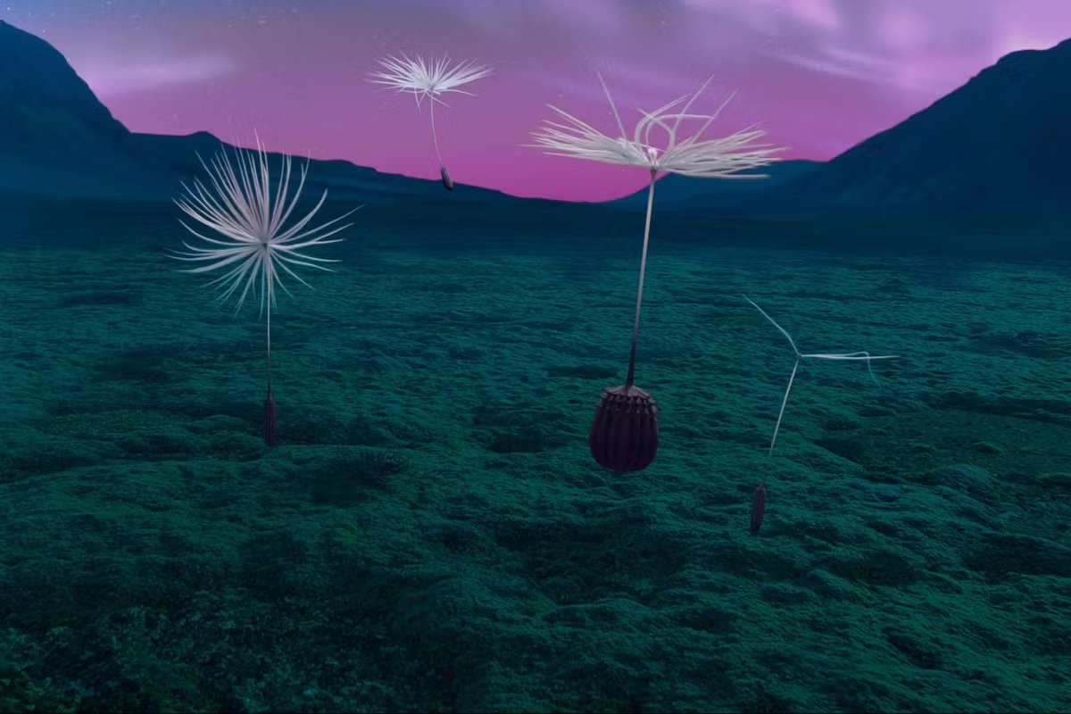 Un film visuellement époustouflant.