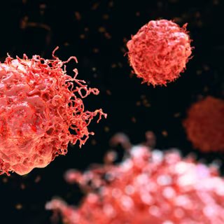 Les neutrophiles sont des cellules immunitaires chargées de nous défendre rapidement contre les infections. Mais selon une étude récente, dans le contexte d’un cancer, certaines d’entre elles pourraient être détournées par la tumeur et contribuer, malgré elles, à sa progression. © Dr_Microbe, Adobe Stock