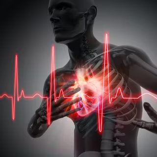L'insuffisance cardiaque : un syndrome clinique pouvant entraîner une diminution du débit cardiaque. © Peterschreiber.media, Fotolia
