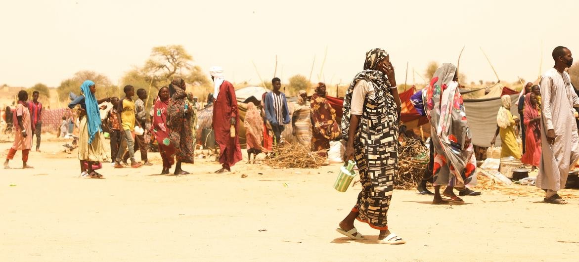Des réfugiés soudanais, en majorité des femmes et des enfants ayant fui les violences à El Fasher et dans d'autres zones du Darfour, arrivent au Tchad.