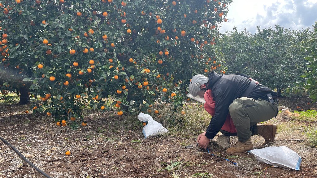 Un démineur se prépare à détruire une munition non explosée dans le village de Ras El Ein, au sud du Liban.