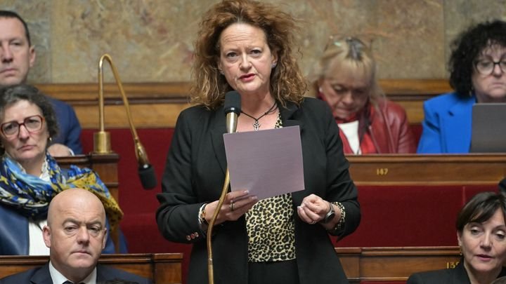 Anne-Cécile Violland, députée du groupe Horizons et indépendants, le 21 janvier 2025 à l’Assemblée Nationale. (BERTRAND GUAY / AFP)