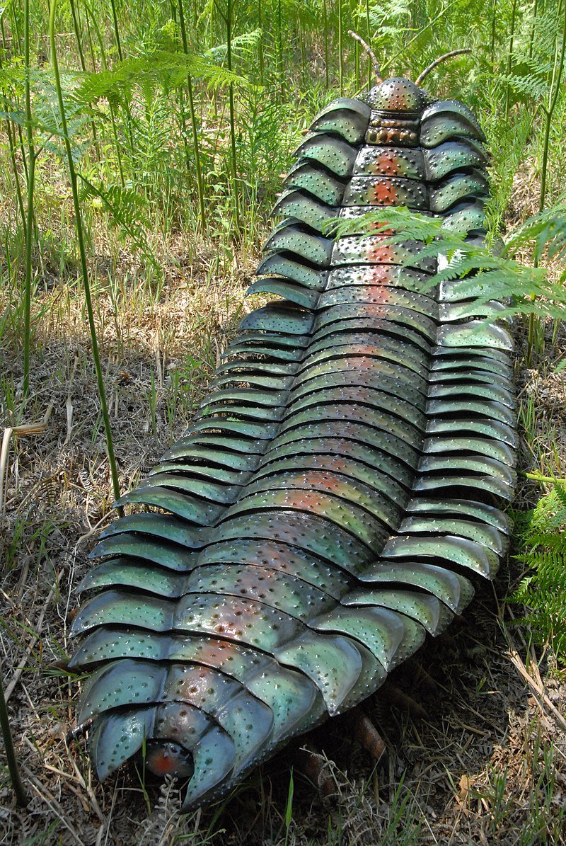 Arthropleura