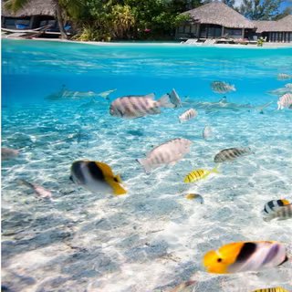 Lagon à Tahiti. © Iha