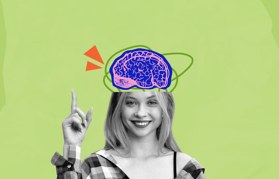 cerveau intelligence QI