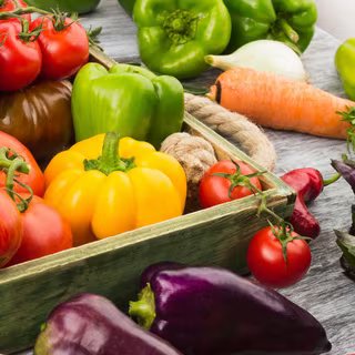 La plante de la semaine : l'étonnante et épineuse morelle de Balbis 1 Courgettes, tomates, poivrons… : fruits ou légumes ? © lisssbetha , fotolia