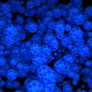 Une vue d'artiste de l'espace-temps de la relativité générale ramené à deux dimensions. Les fluctuations quantiques de sa structure la font ressembler à l'écume de la surface d'une eau turbulente. © GiroScience, Adobe Stock