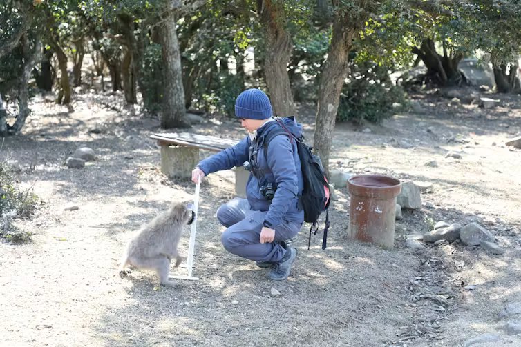 file 20260330 83 2fv50p