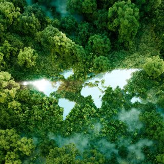 Des chercheurs ont analysé la capacité de la forêt à éliminer du dioxyde de carbone (CO2) de notre atmosphère. Malgré des menaces régionales, les forêts du monde continuent d’être une arme puissante dans la lutte contre le changement climatique. © malp, Adobe Stock
