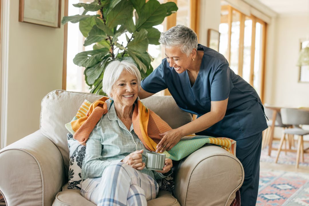 fromage cerveau demence