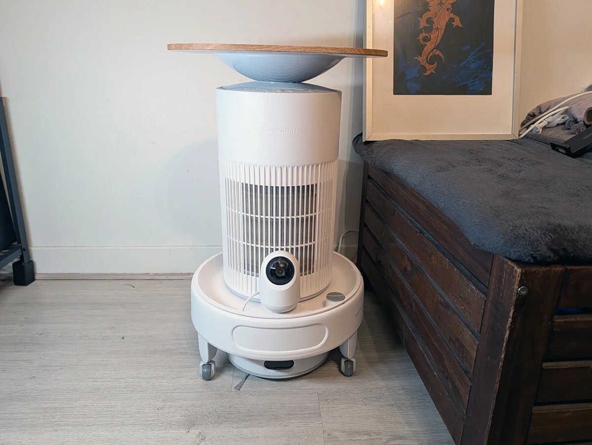 pxl 20251122 174915748