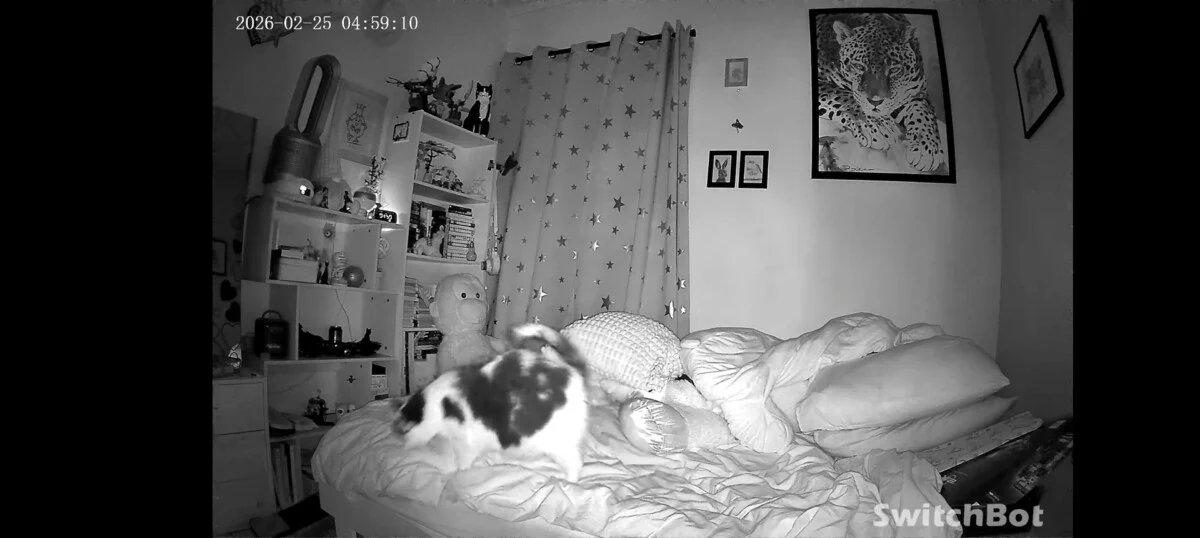 screenshot 20260225 045912