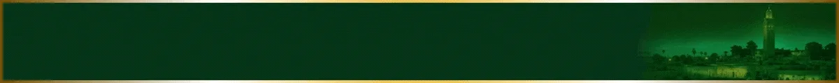 spot_img