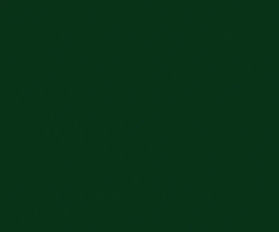 spot_img