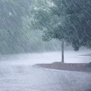 Les épisodes de pluies diluviennes vont se multiplier dans certaines régions du monde. © xphotoz, iStock