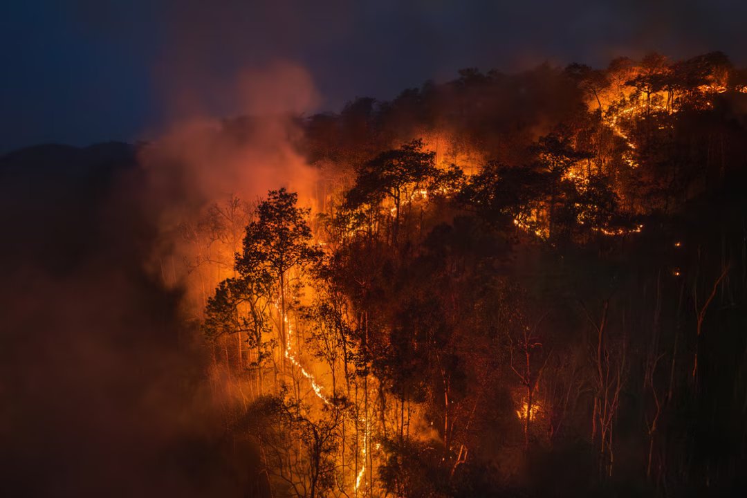 climat el nino incendies