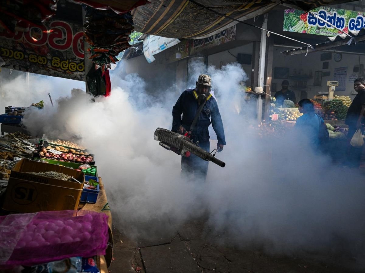 Dengue au Sri Lanka : 49 morts et plus de 60 000 infectés