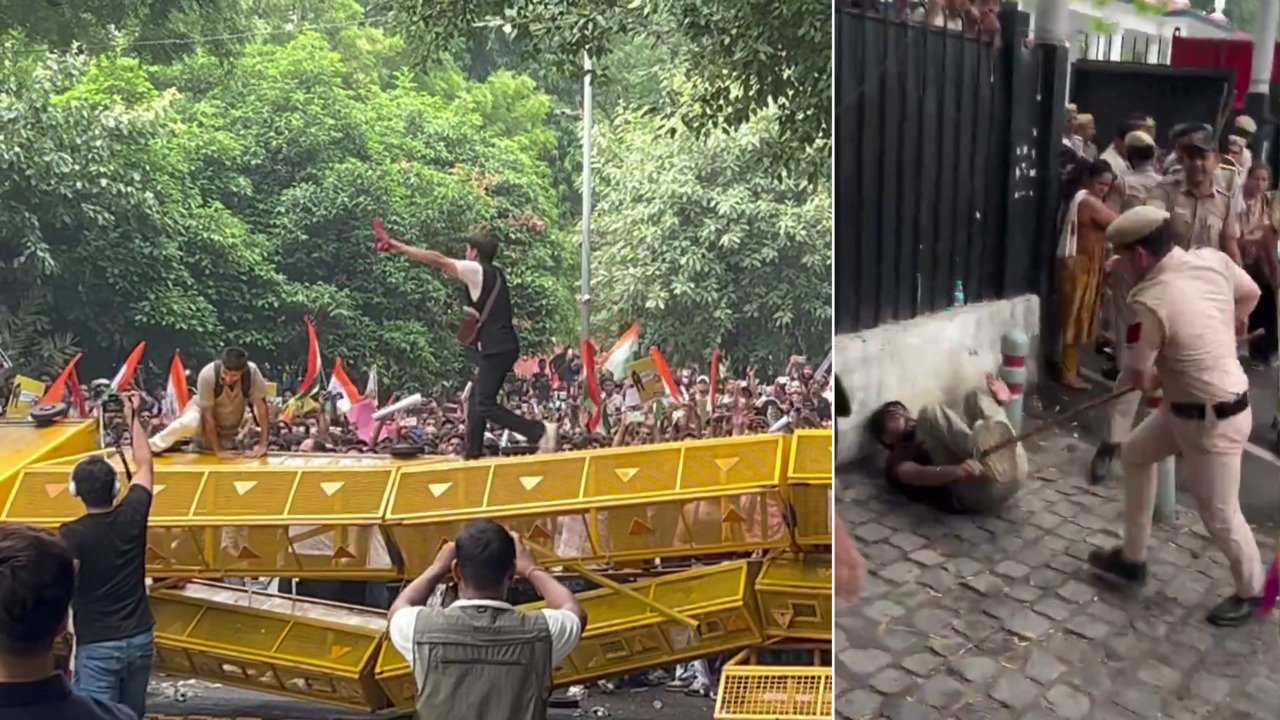 Inde : des “cafards” racontent comment ils ont fait tomber un ministre, leur “plus grande victoire”