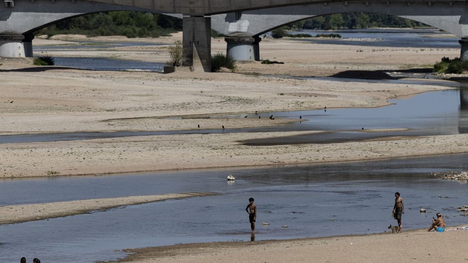La sécheresse, la catastrophe silencieuse qui coûte désormais plus cher que les autres aléas climatiques