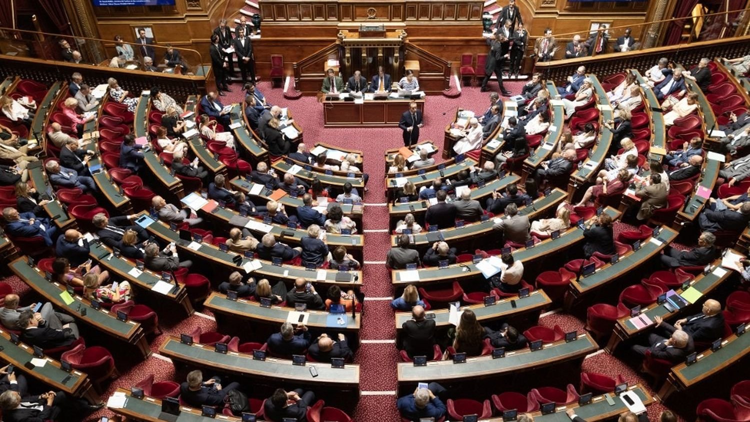 Le Sénat exclut temporairement la parlementaire Christine Herzog, soupçonnée de