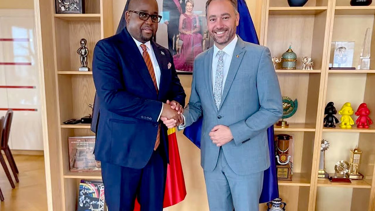Neutralisation des FDLR en RDC : les discrètes manœuvres diplomatiques de Kinshasa