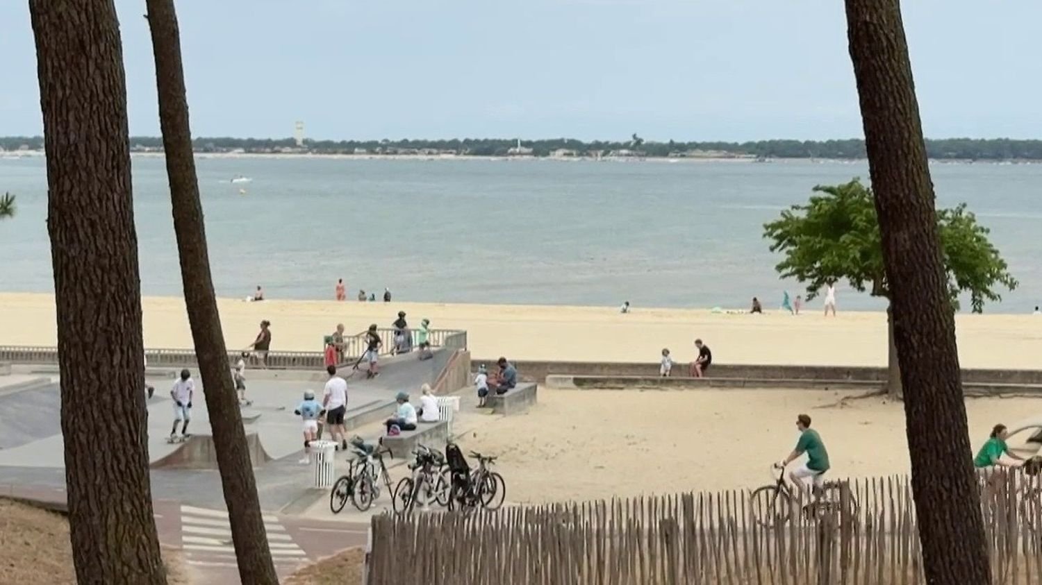 "Une espèce de tourisme solidaire doit se mettre en place" : d'Arcachon à Biscarrosse, l'absence de touristes après les incendies inquiète le secteur "Une espèce de tourisme solidaire doit se mettre en place" : d'Arcachon à Biscarrosse, l'absence de touristes après les incendies inquiète le secteur