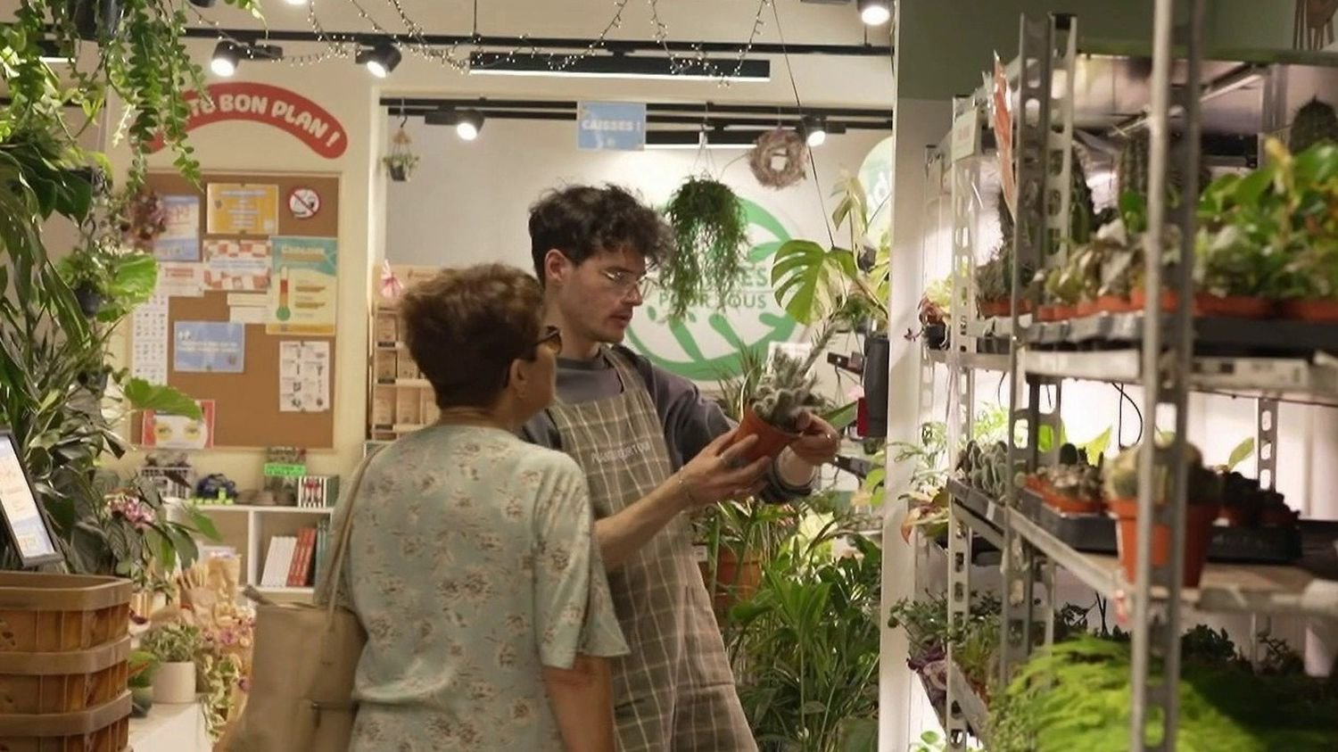 Plantes low-cost : comment les vendeurs parviennent-ils à casser les prix et que valent ces végétaux à bas coût ?
